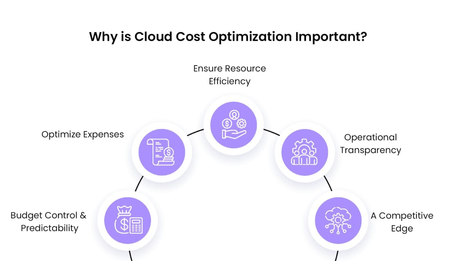 A circular infographic titled 'Why is Cloud Cost Optimization Important?' with five benefits: Ensure Resource Efficiency (top), Operational Transparency (right), A Competitive Edge (bottom right), Budget Control & Predictability (bottom left), and Optimize Expenses (left). Each benefit is represented by a purple circular icon with white line illustrations related to finance, resources, operations, or cloud.