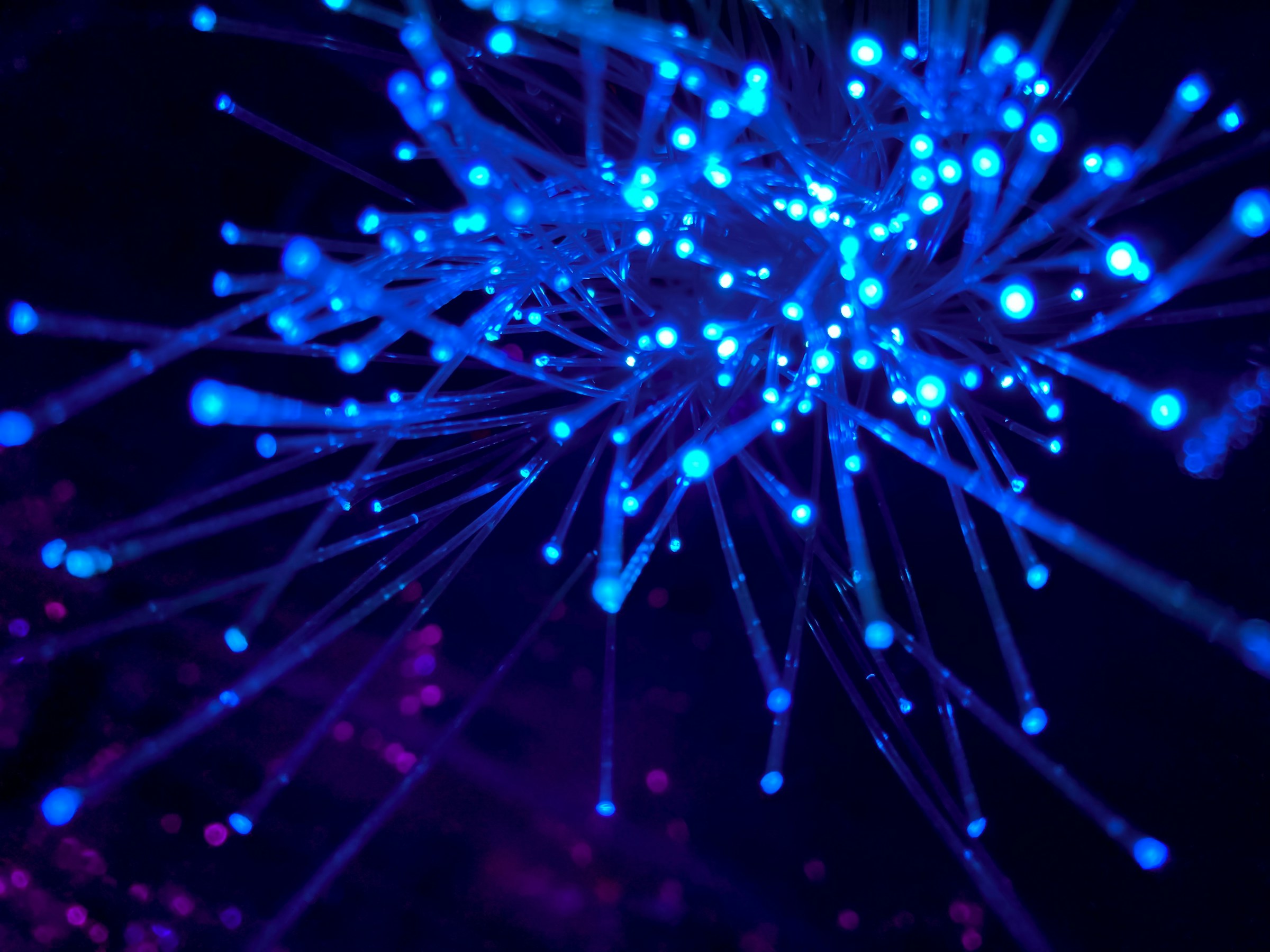Macro photograph of glowing fibre-optic strands